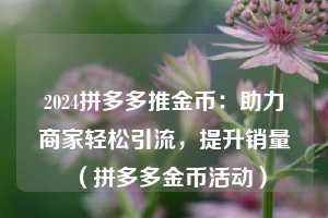 2024拼多多推金币：助力商家轻松引流，提升销量（拼多多金币活动）  第1张