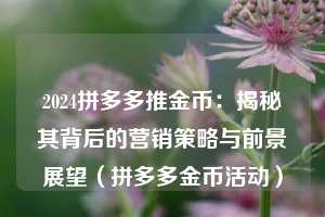 2024拼多多推金币：揭秘其背后的营销策略与前景展望（拼多多金币活动）  第1张