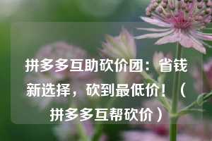 拼多多互助砍价团：省钱新选择，砍到最低价！（拼多多互帮砍价）  第1张