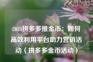 2024拼多多推金币：如何高效利用平台助力营销活动（拼多多金币活动）  第1张