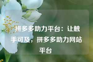  拼多多助力平台：让触手可及，拼多多助力网站平台 第1张