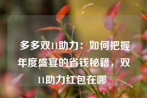  多多双11助力：如何把握年度盛宴的省钱秘籍，双11助力红包在哪 第1张